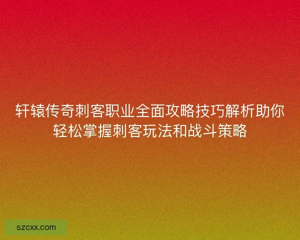 轩辕传奇刺客职业全面攻略技巧解析助你轻松掌握刺客玩法和战斗策略